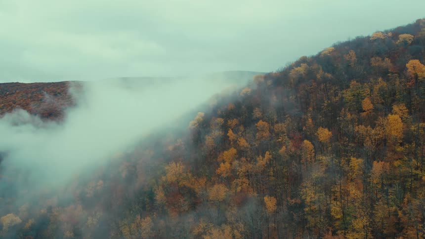 Mountain range with forests and fog