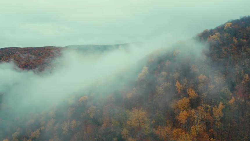 Hills with flowering trees in an autumn and a large mysterious fog