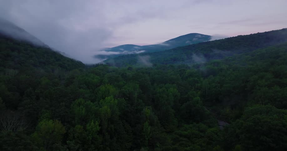 A large forest is before the mountains