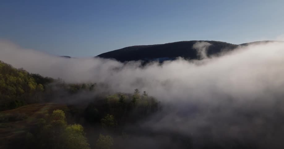 Mountain range with forests and mists under a cloudless blue sky