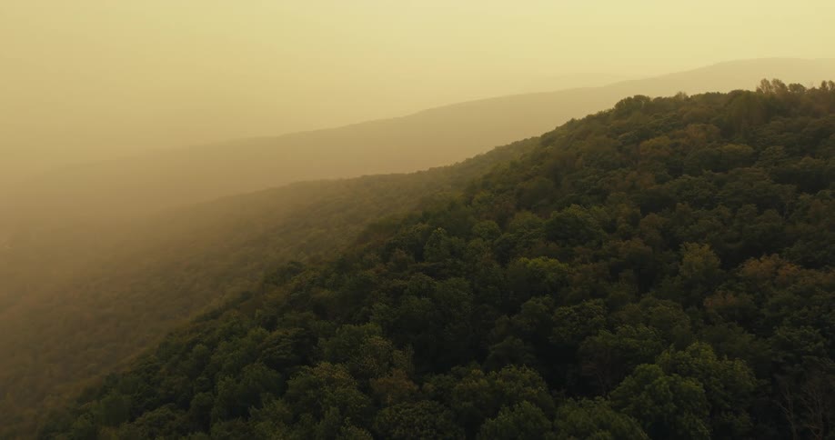 Aerial view of a large area of land covered with green trees