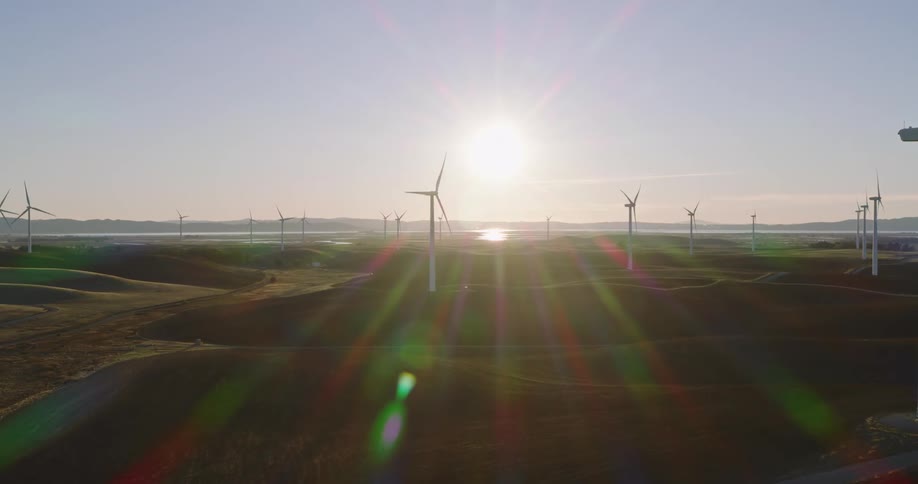 A large wind farm