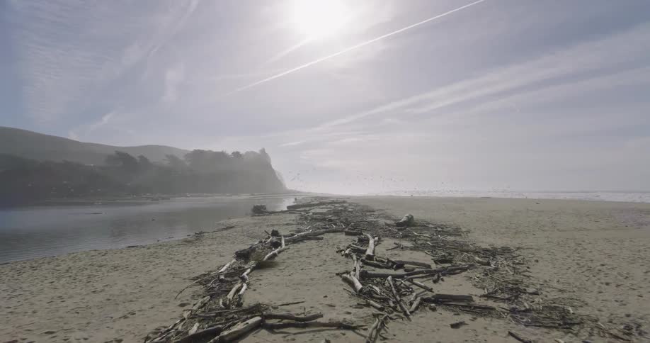 View of the beach sand with branches and dry logs beside the sea and a small lake next to the mountains