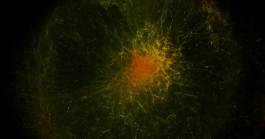 Extreme closeup of an abstract liquid boiling