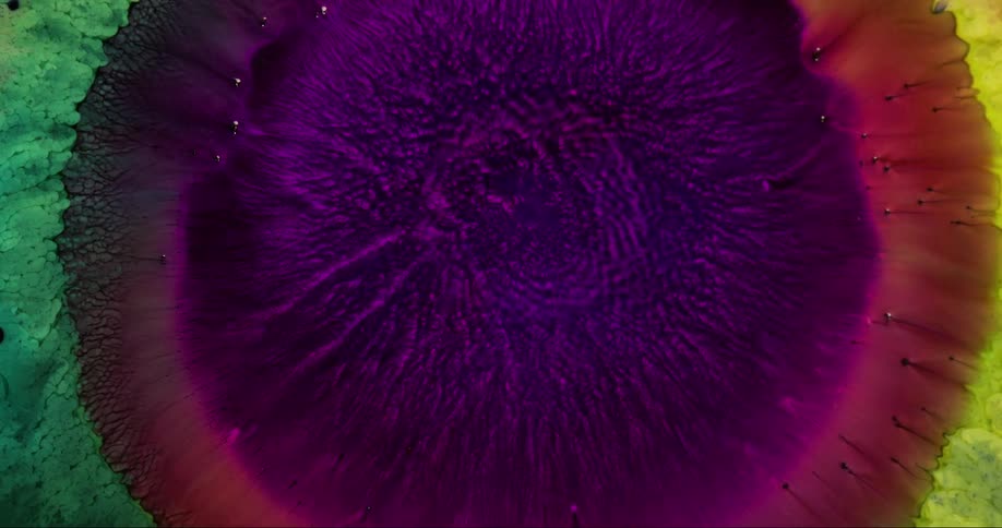 The colors bloom out in a circle