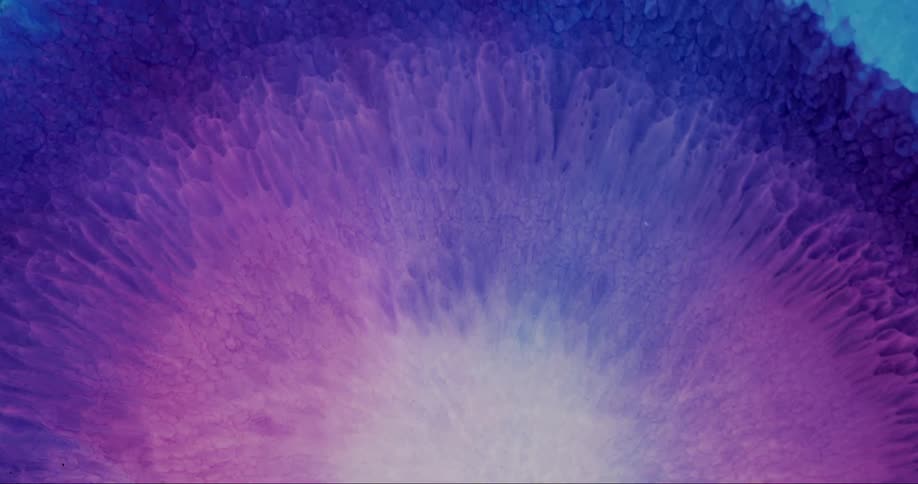 The colors bloom out