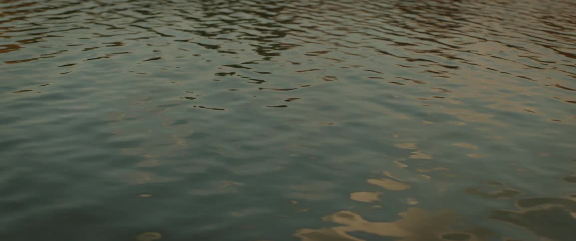The sunlight is reflecting on the water