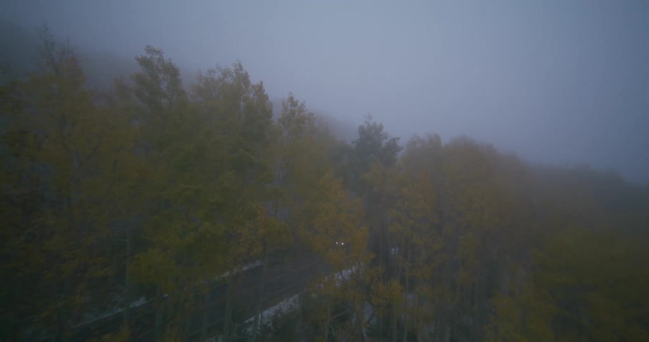 An aerial view twists and turns chaotically among trees and a car on the road