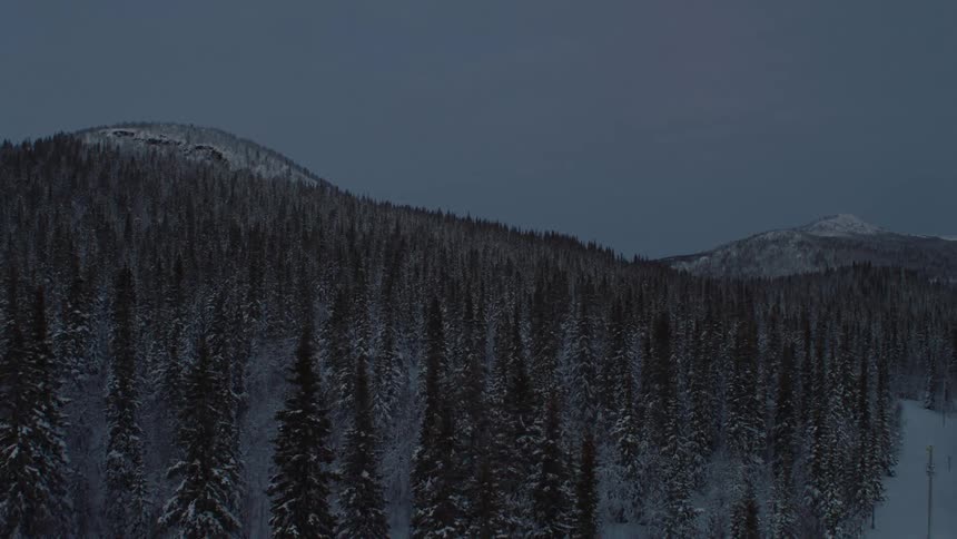 Snow capped trees line a mountainous field