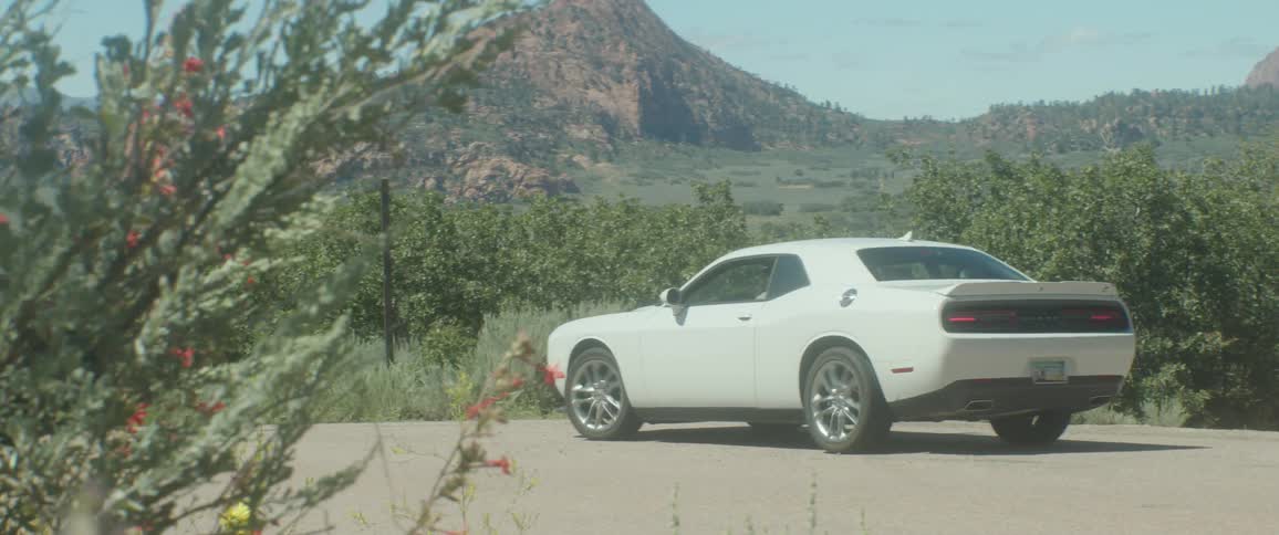 A car pulls up and stops by the mountains