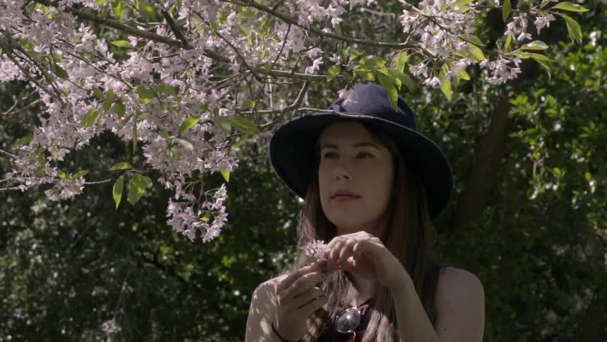 A woman picks a flower from a tree