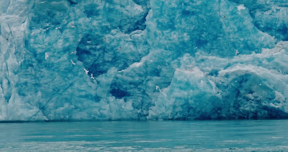 Seagulls flying next to a glacier in the arctic coastline