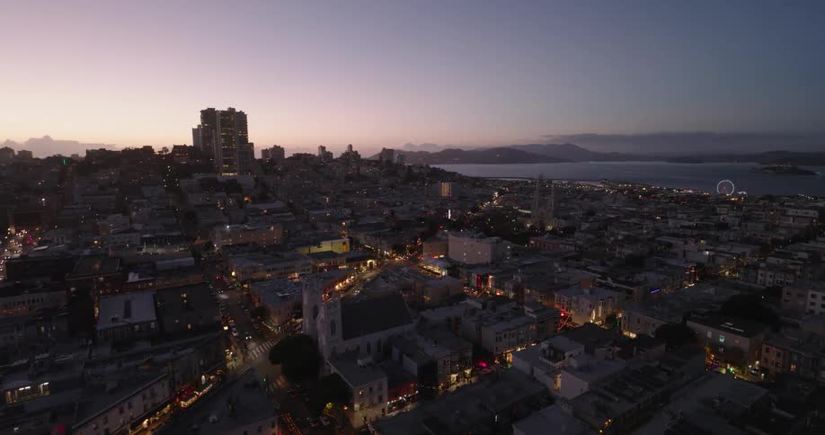 Aerial panorama of a metropolis by the sea with a purple evening sky