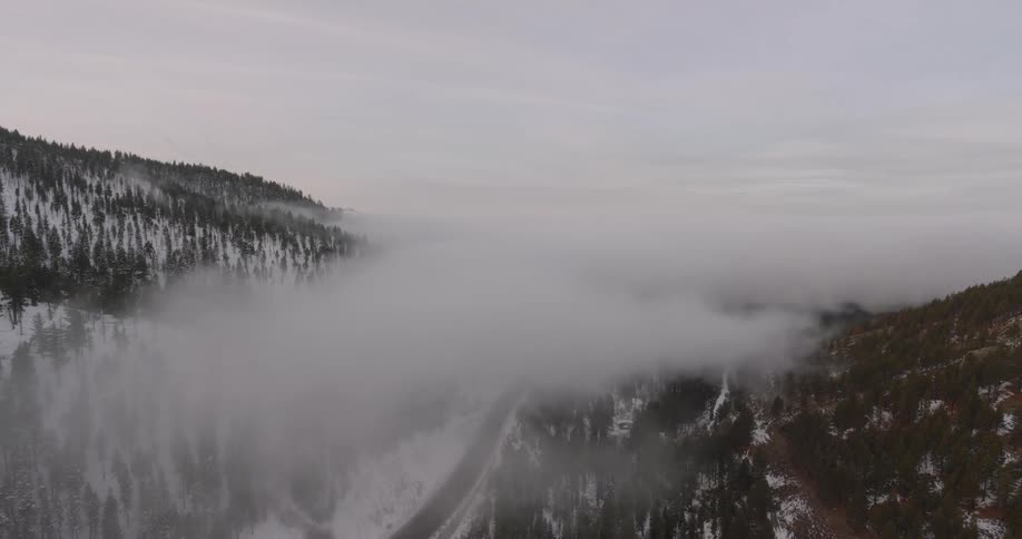 Aerial view of clouds over pine tree forests in the mountains