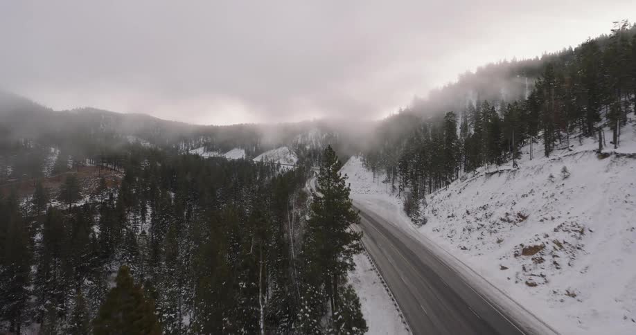 Fog hangs over a snow covered forested mountain road