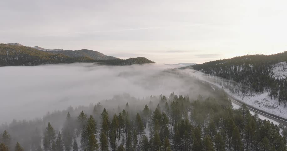 Fog rolls over the snow covered forest