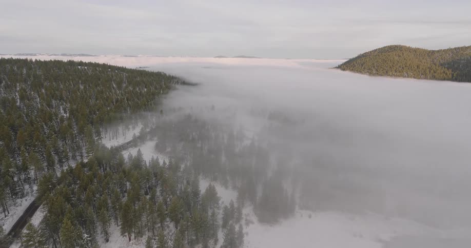 Fog is rolling over the snow covered forest