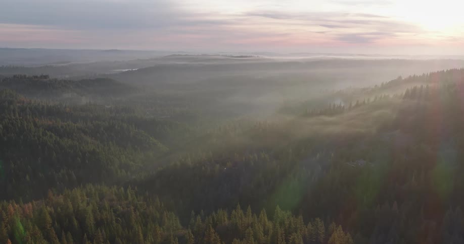Aerial view of a placid mountain forest