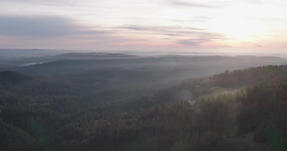 A forest view during sundown