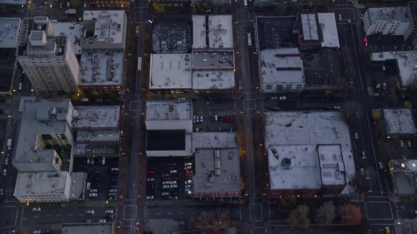 Aerial view of a metropolis with a perspective of terraces and streets