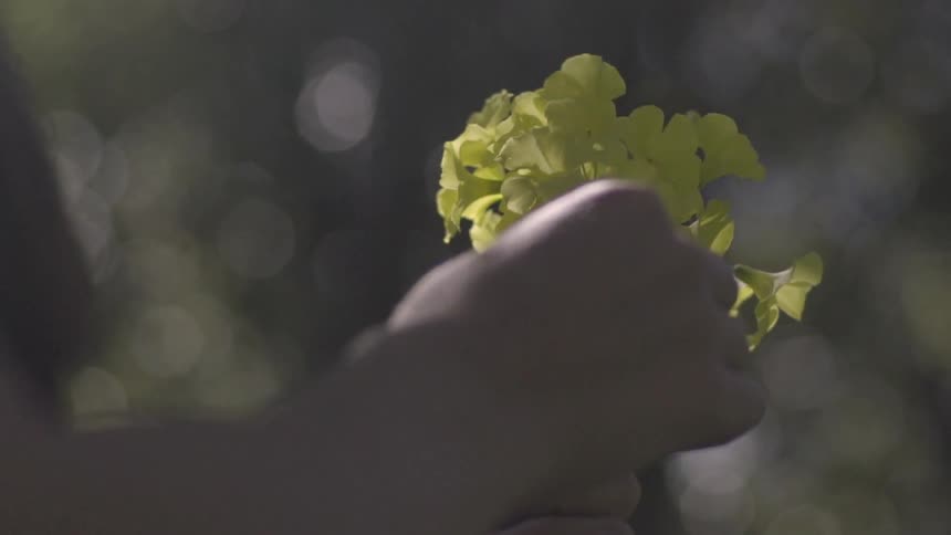 A person is holding a yellow flower