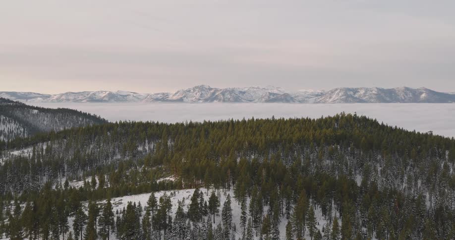The mountains are covered with trees