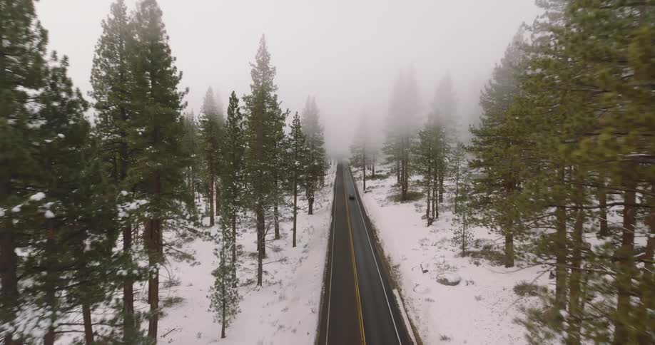 Traffic moves through a forest road with trees on the roadsides as snow falls on a winter day