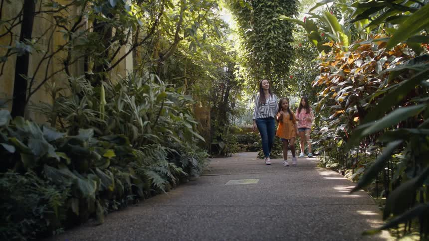 Family walks along path through walled garden on a sunny day