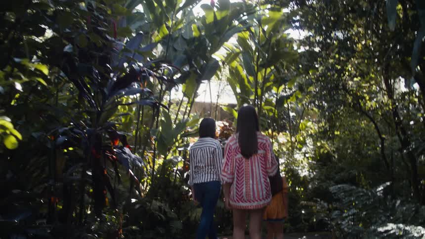 Family walking around the plants inside a greenhouse