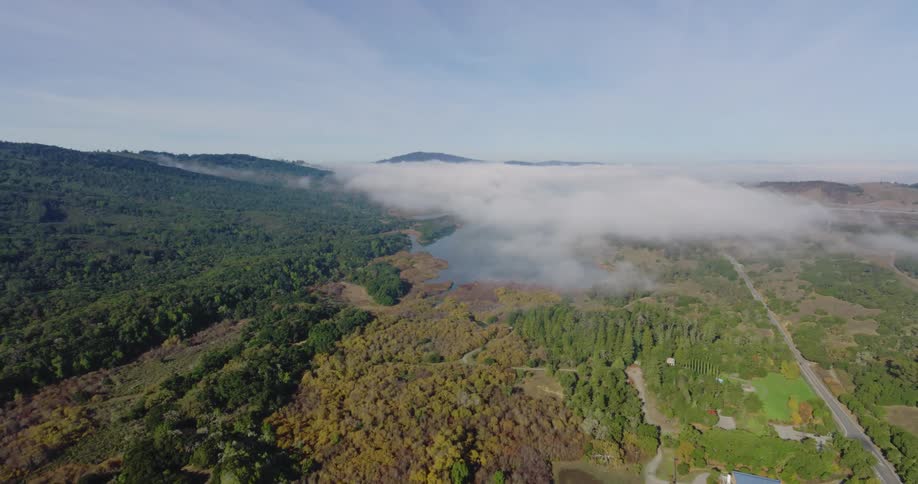 A mid day aerial clip of a woods land
