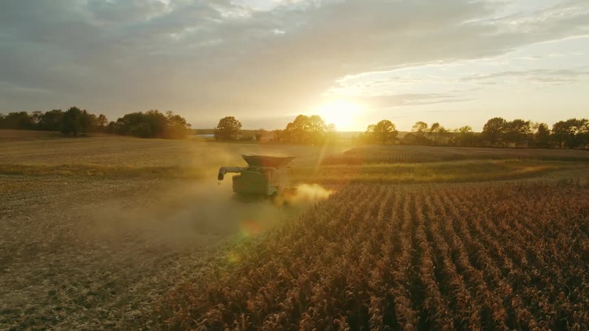 Beauty shot of harvesting corn on agricultural land in the American heartland