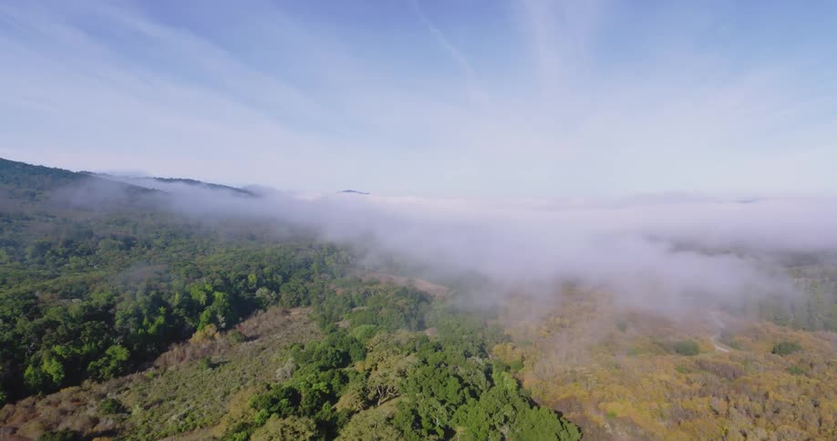 Fog rolls over the horizon