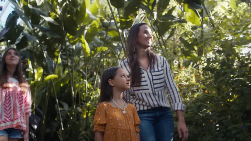 Mother and daughters walking through the rainforest on a sunny day