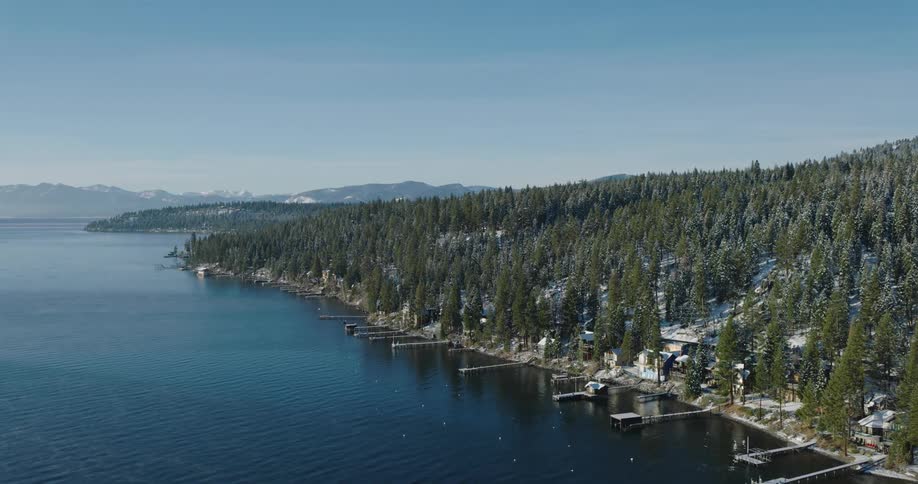 The coast is covered with trees and snow