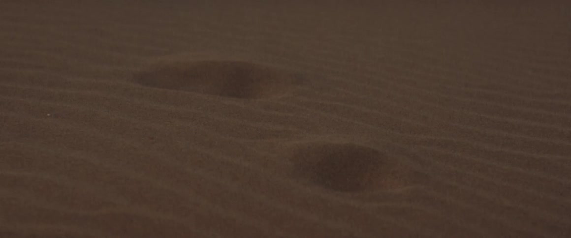 Closeup of small holes in the midst of desert sand