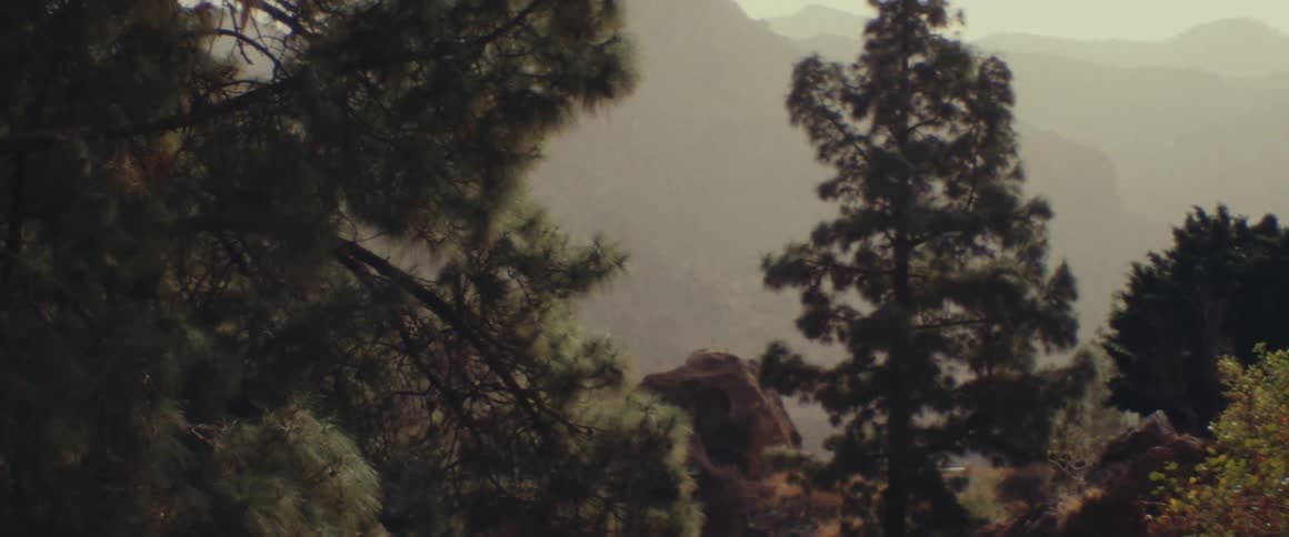 Fog or mist cover rock formations in the mountains