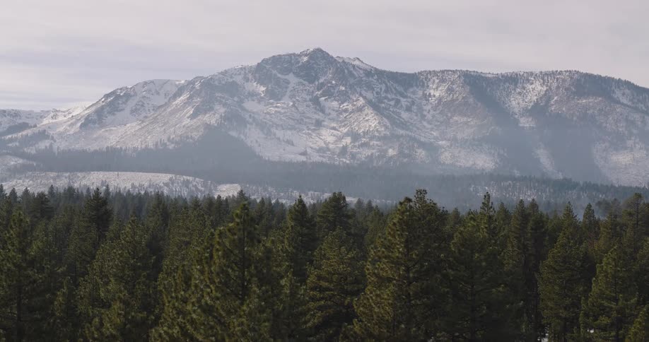 A forest is before the mountain range