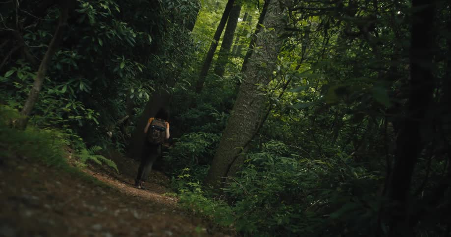 Woman wearing an orange t shirt a brown backpack and black pants hikes in the green woods
