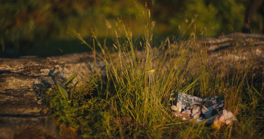 Photograph of flowers scattered in the midst of the wilderness with a person in the background picking up a backpack and walking away