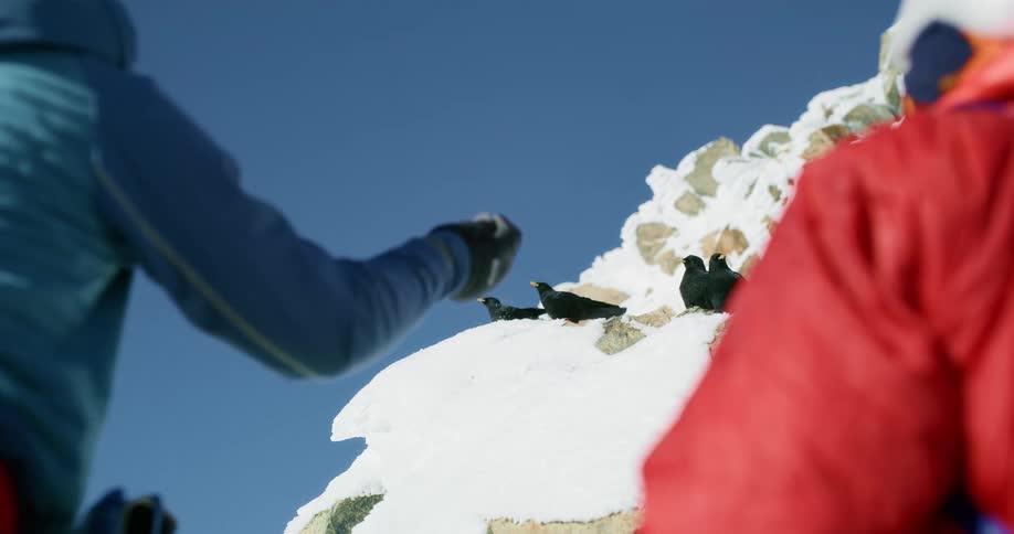 Two people reach for birds on the mountain