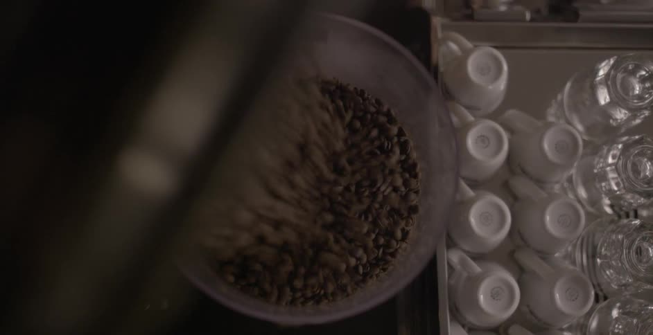 Coffee beans are poured into a container