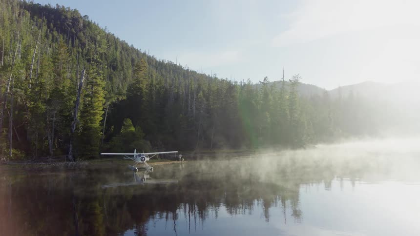 Float plane sits on the banks below a hillside covered in a dense forest of green trees on a foggy lake that reflects the glare of the sun