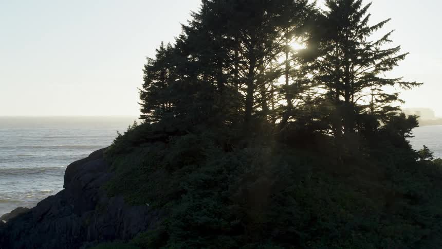 Sunlight shines through the trees on a promontory next to the ocean