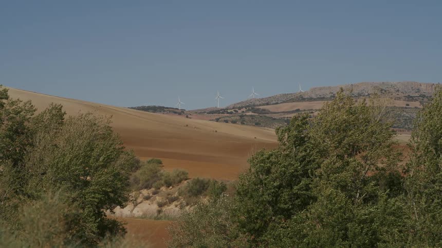 Trees and plants move in the breeze as wind turbines spin along the top of the hill