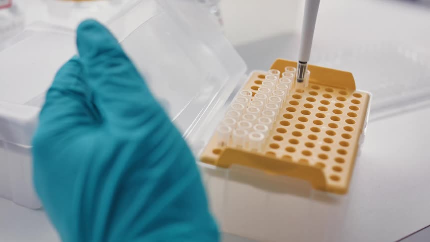 Technician takes samples on a laboratory