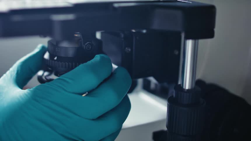 Technician adjusts a microscope in the laboratory