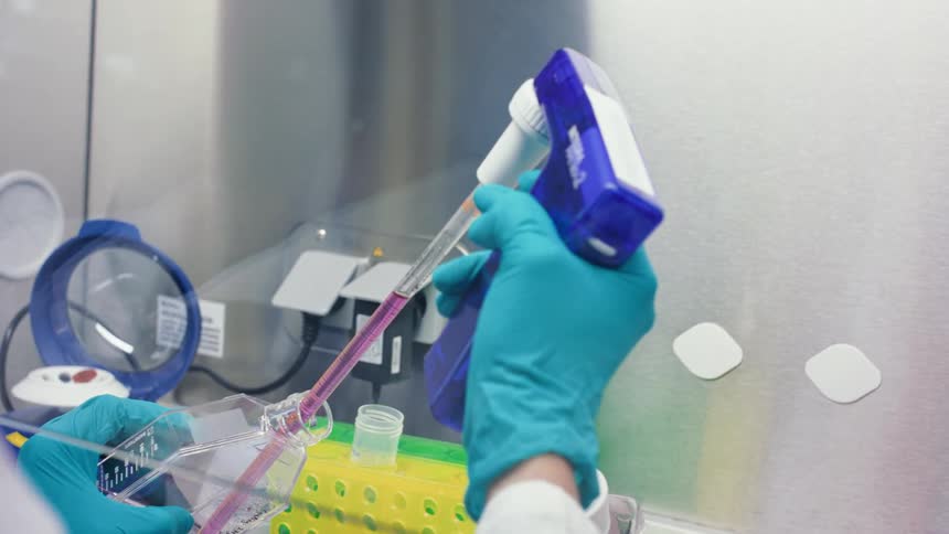 Pink fluid is measured and drawn from a bottle and is then injected into a single test tube in a yellow holder