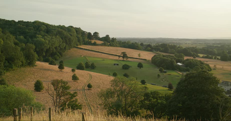 Rolling hills of rural country farmland below a forest of green under an overcast sky during the day