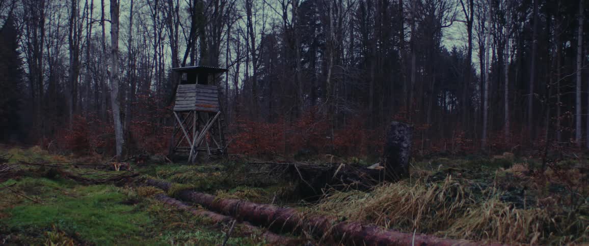A hunting blind is set up by the forest
