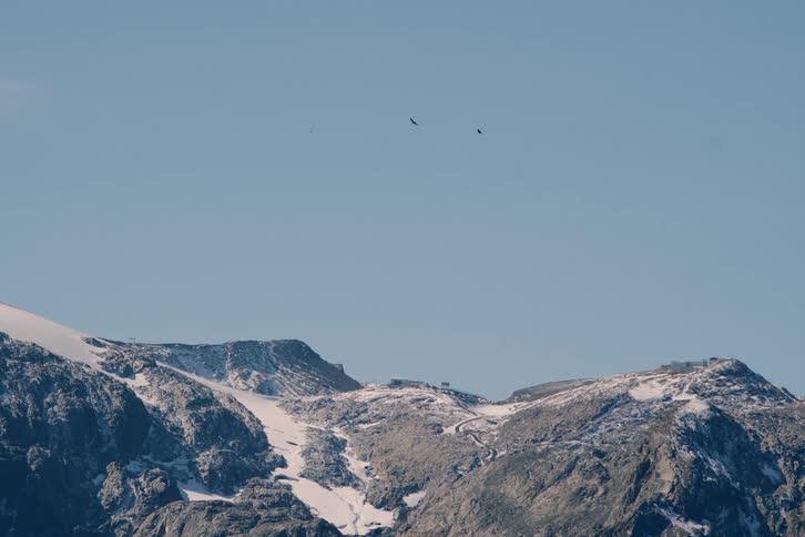Three birds fly over snowcovered mountain peaks on a clear sunny day